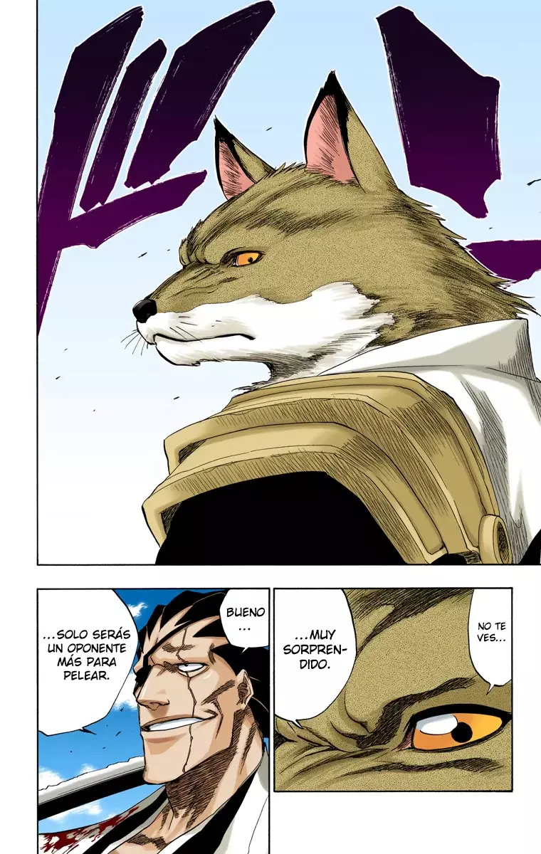 Bleach (Color) capítulo 148, página 17