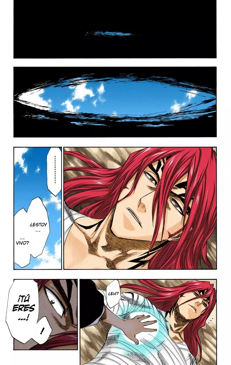 Bleach (Color) capítulo 149, página 14