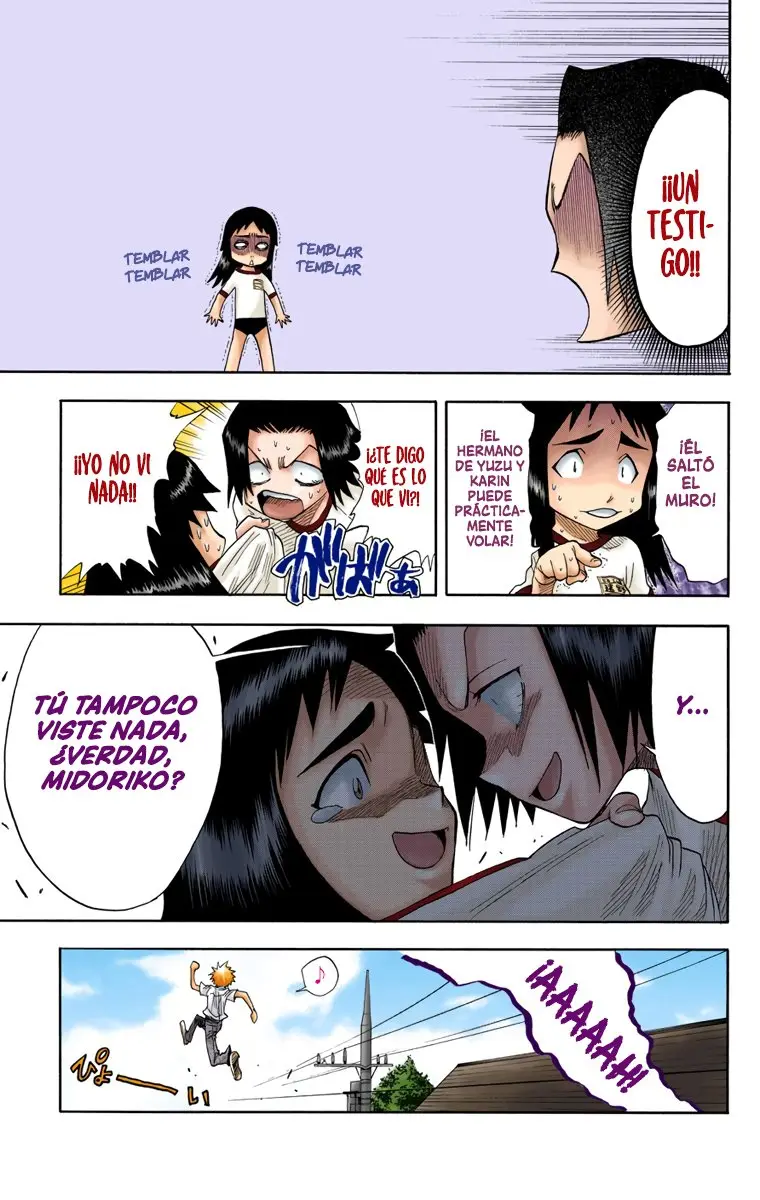 Bleach (Color) capítulo 15, página 16