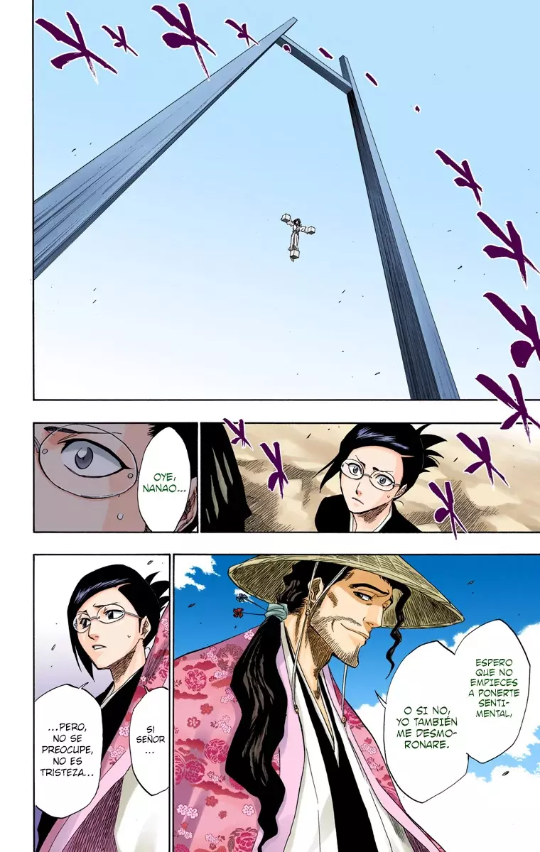 Bleach (Color) capítulo 150, página 14
