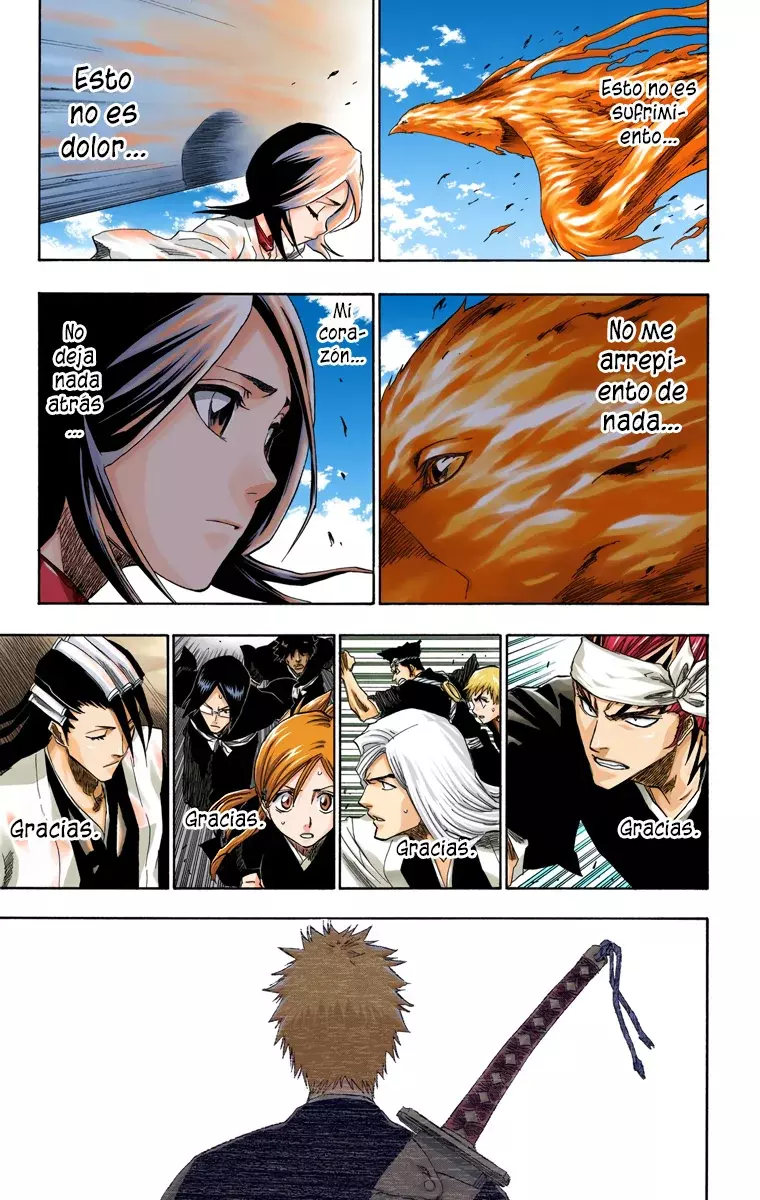 Bleach (Color) capítulo 150, página 22