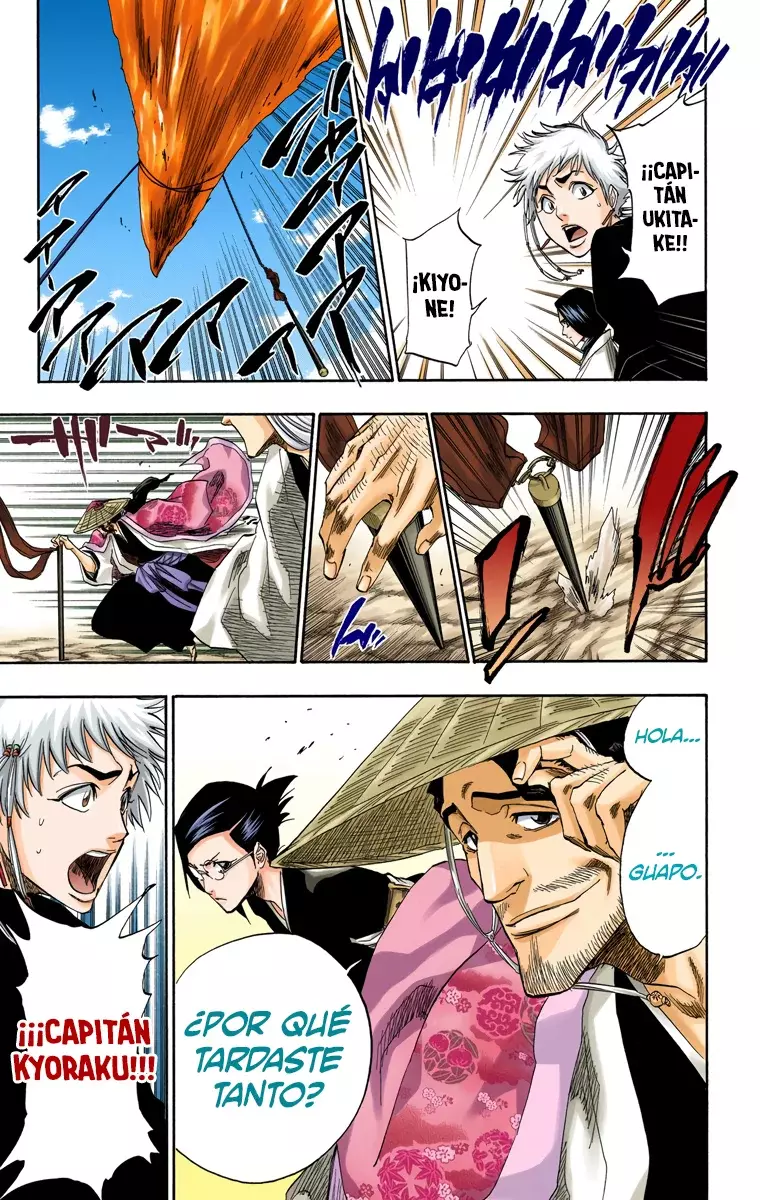 Bleach (Color) capítulo 151, página 13