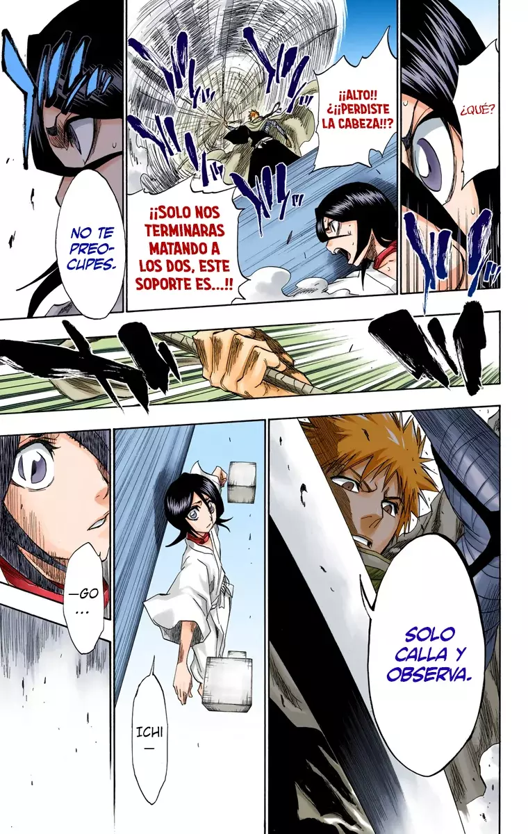 Bleach (Color) capítulo 151, página 18