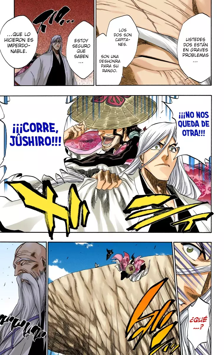 Bleach (Color) capítulo 153, página 14