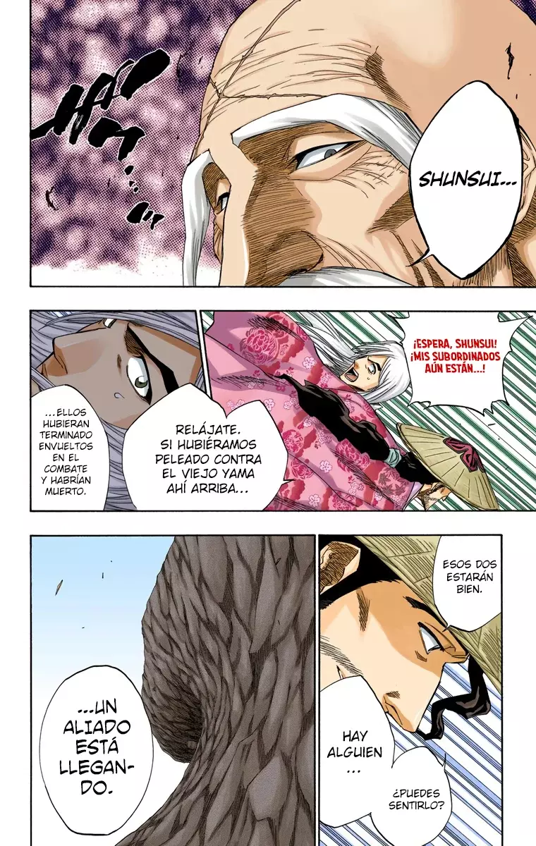 Bleach (Color) capítulo 153, página 15