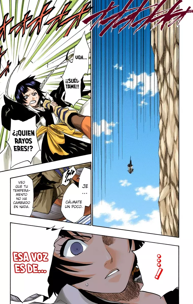 Bleach (Color) capítulo 153, página 18
