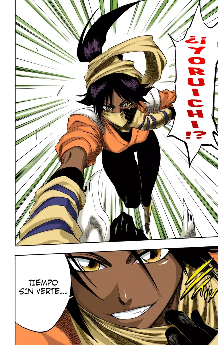 Bleach (Color) capítulo 153, página 19
