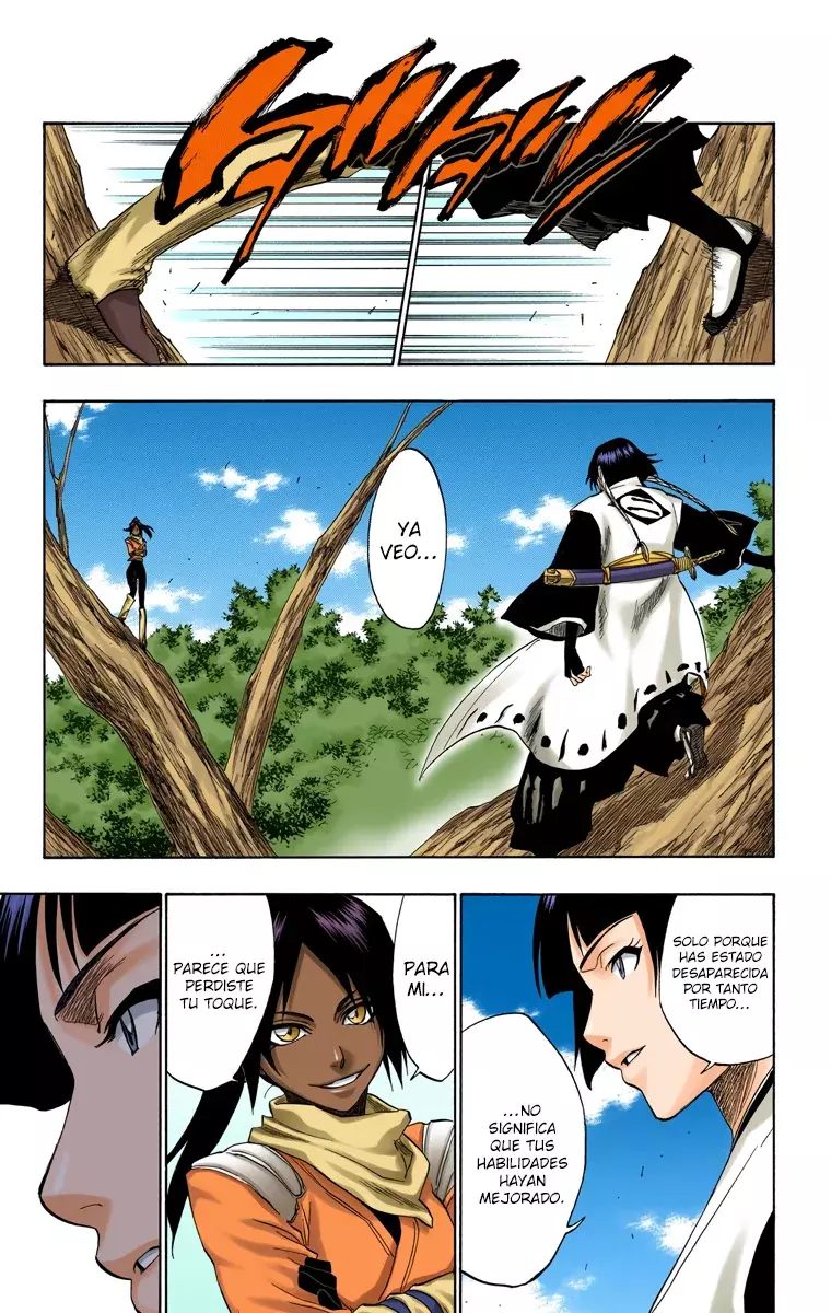 Bleach (Color) capítulo 154, página 10