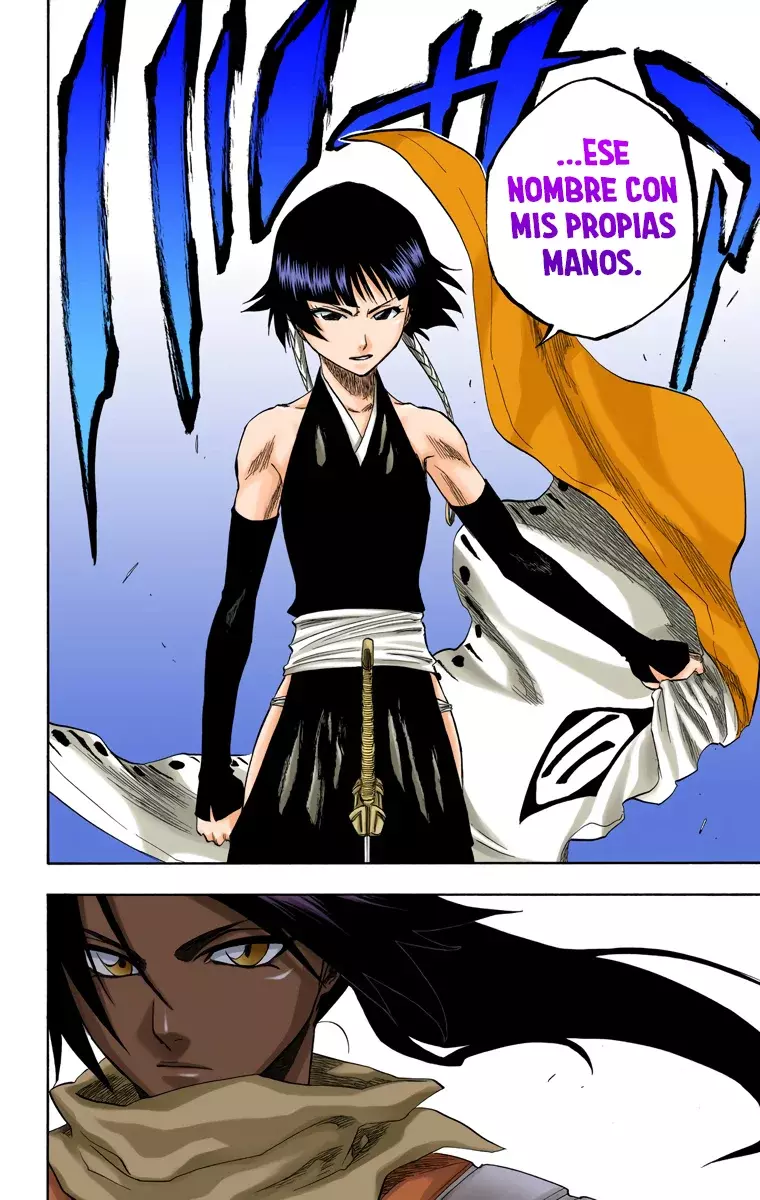 Bleach (Color) capítulo 154, página 16