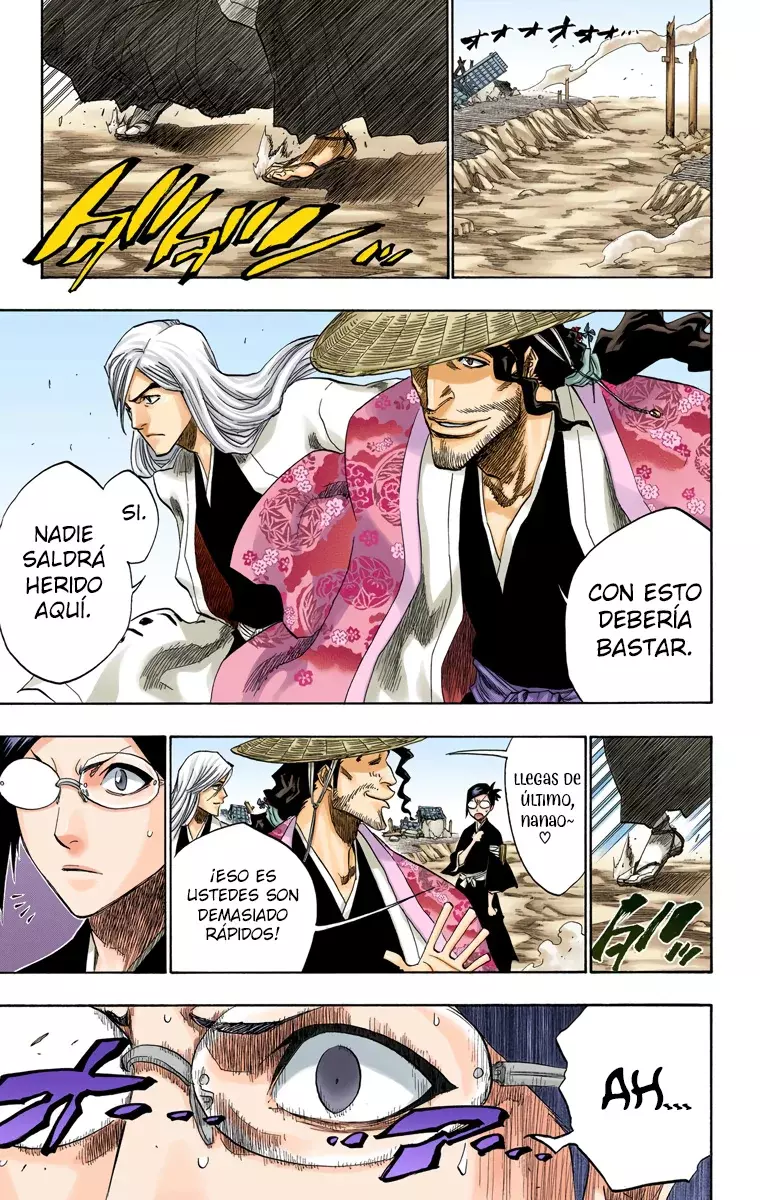 Bleach (Color) capítulo 154, página 17