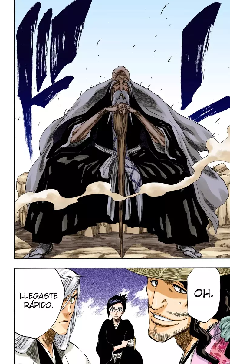 Bleach (Color) capítulo 154, página 18