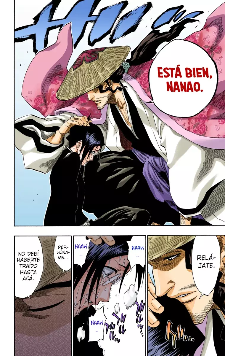 Bleach (Color) capítulo 155, página 8
