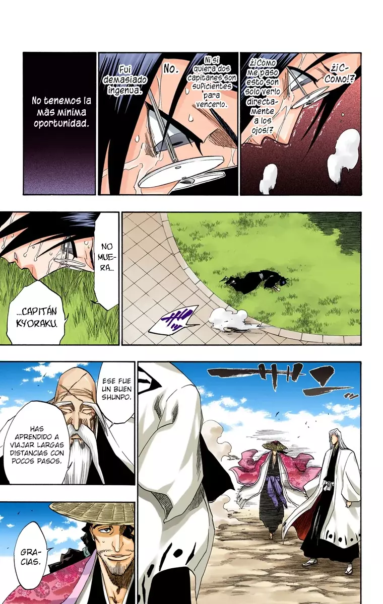 Bleach (Color) capítulo 155, página 9