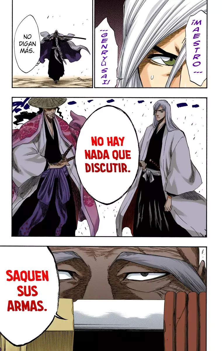 Bleach (Color) capítulo 155, página 13