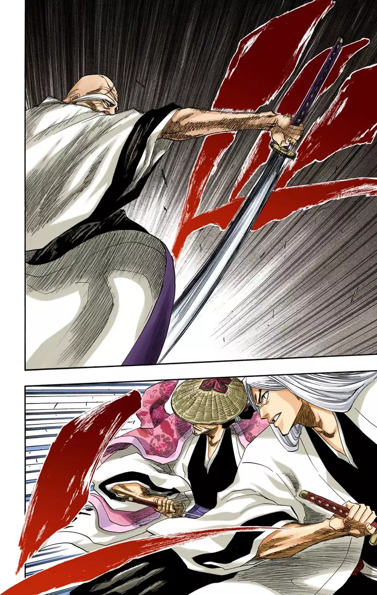 Bleach (Color) capítulo 155, página 14
