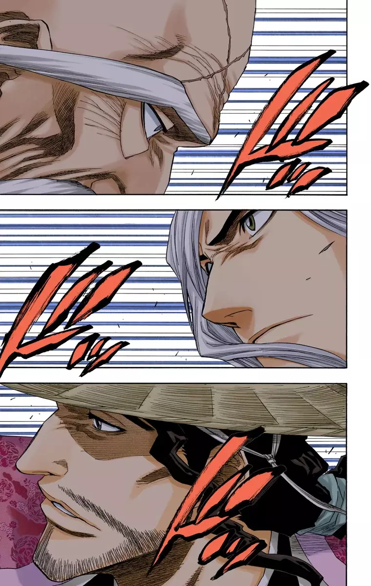 Bleach (Color) capítulo 155, página 15