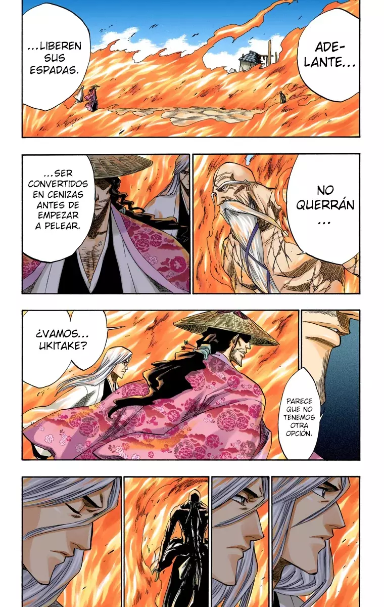 Bleach (Color) capítulo 156, página 10