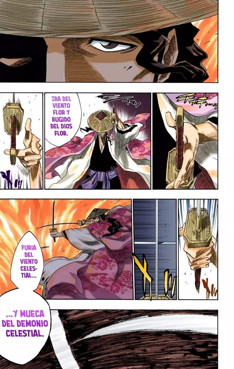 Bleach (Color) capítulo 156, página 13