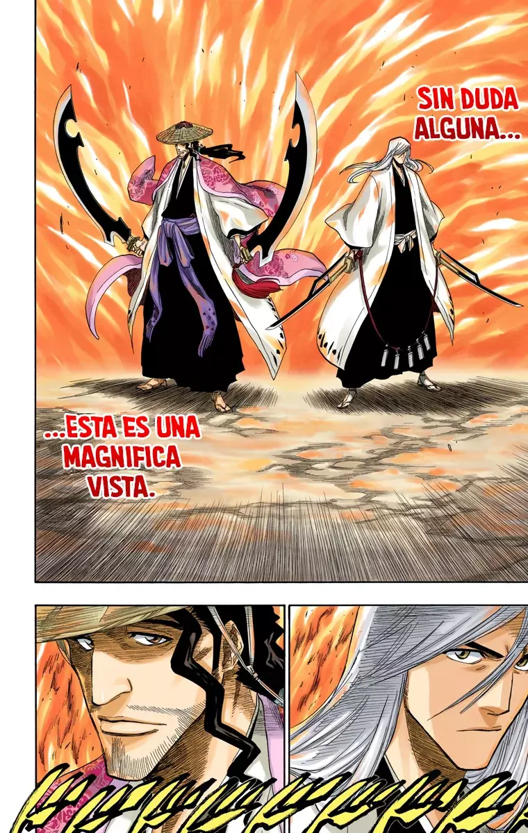 Bleach (Color) capítulo 156, página 16