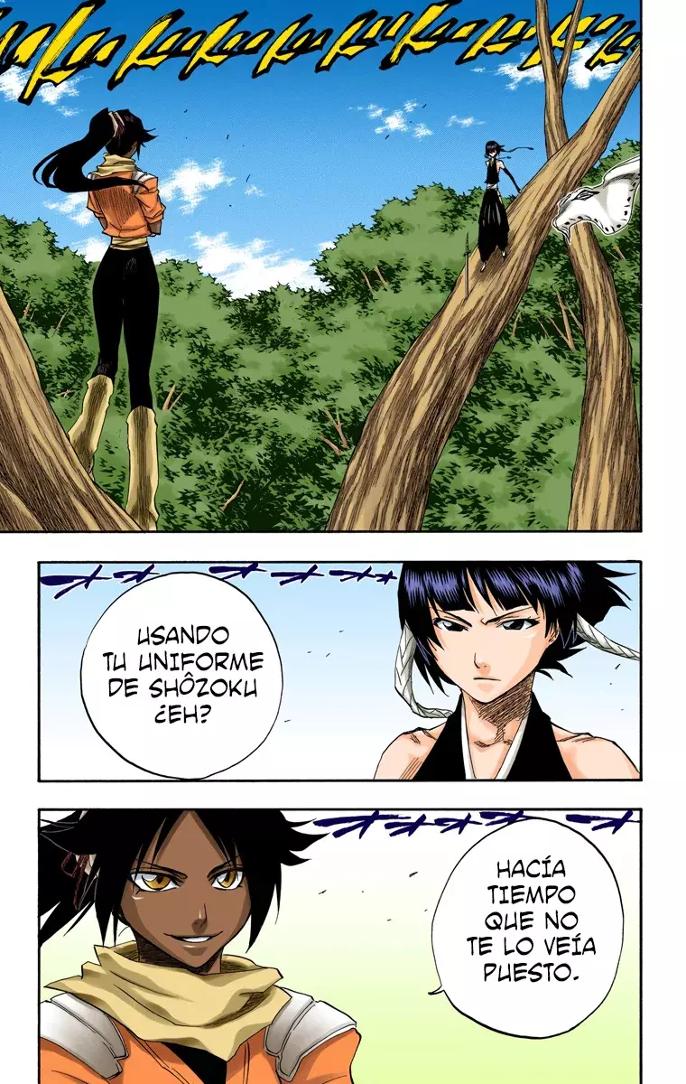 Bleach (Color) capítulo 157, página 8