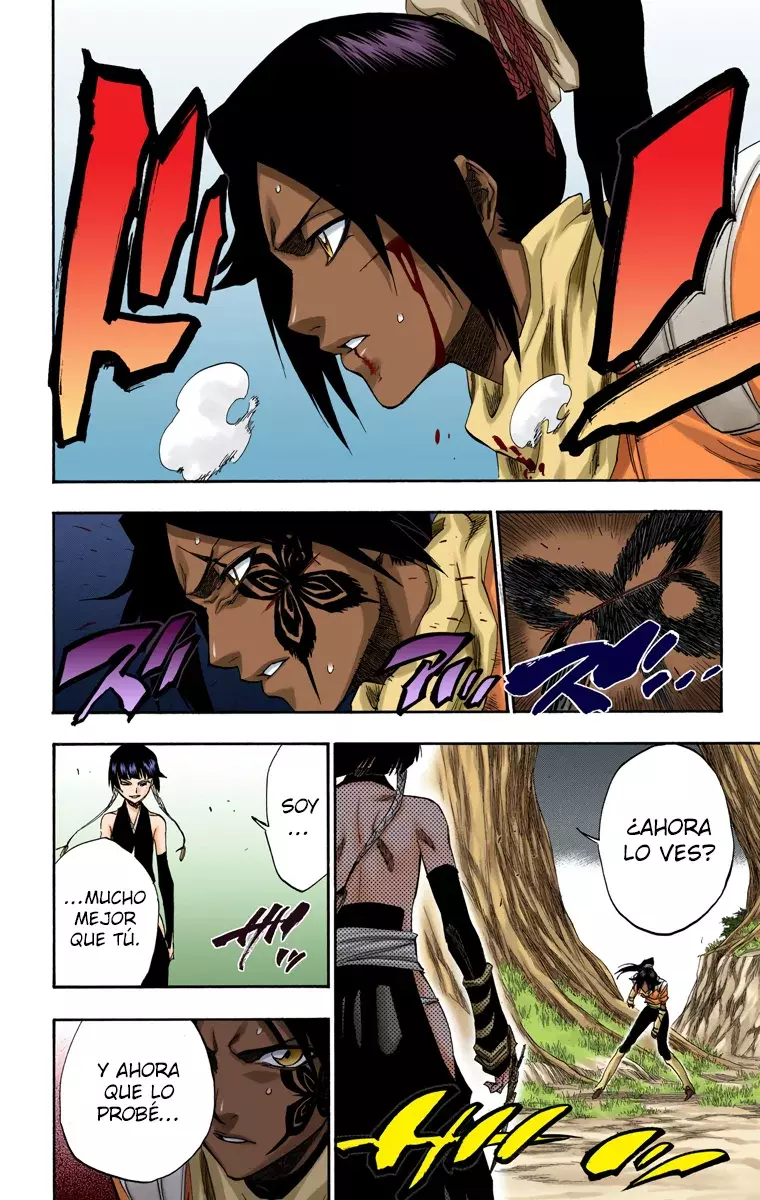Bleach (Color) capítulo 158, página 13