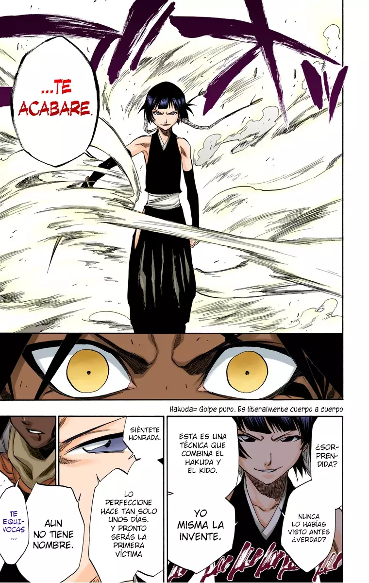 Bleach (Color) capítulo 158, página 14