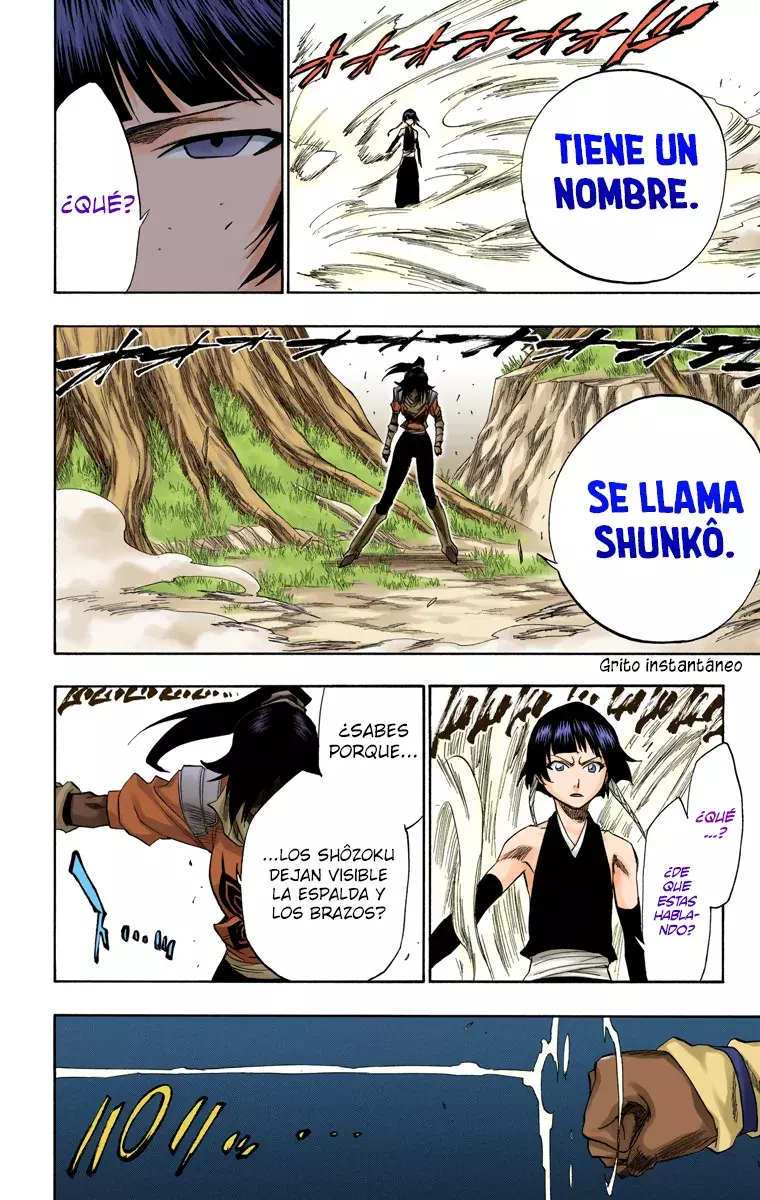 Bleach (Color) capítulo 158, página 15