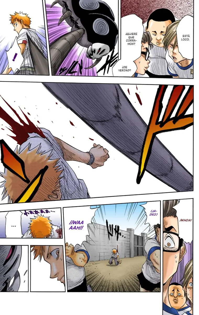 Bleach (Color) capítulo 16, página 8