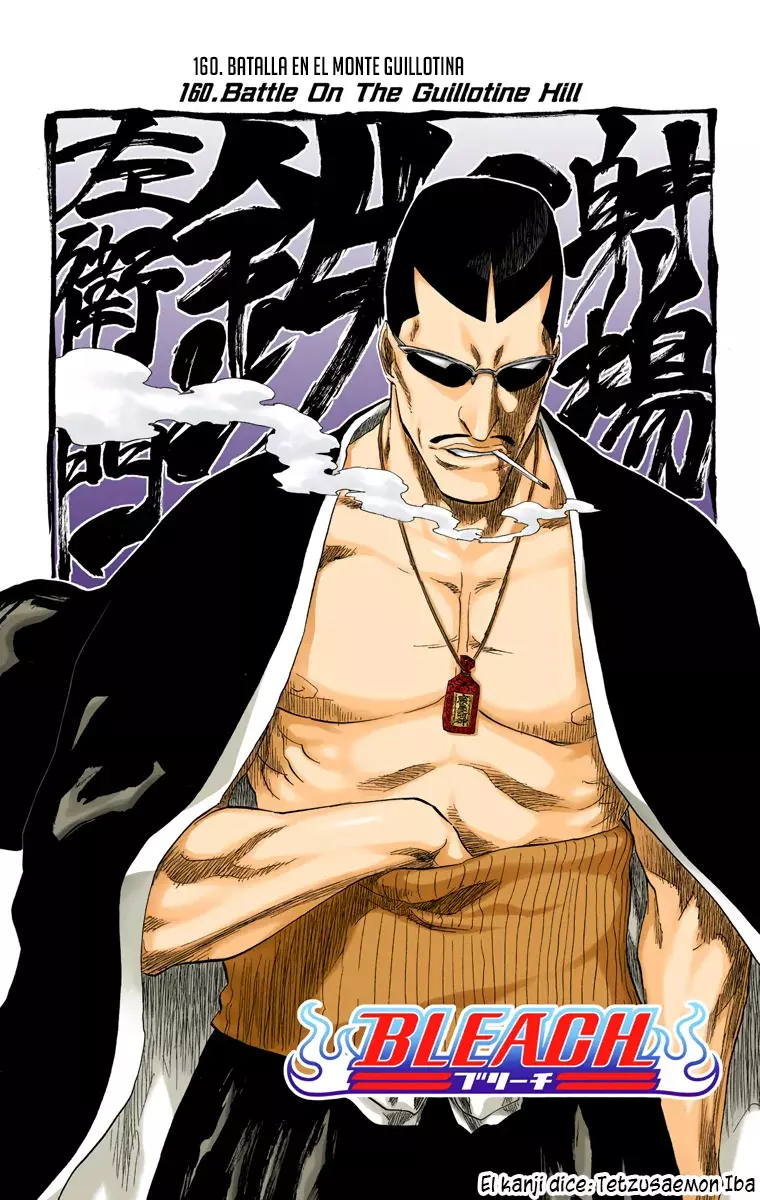 Bleach (Color) capítulo 160, página 9