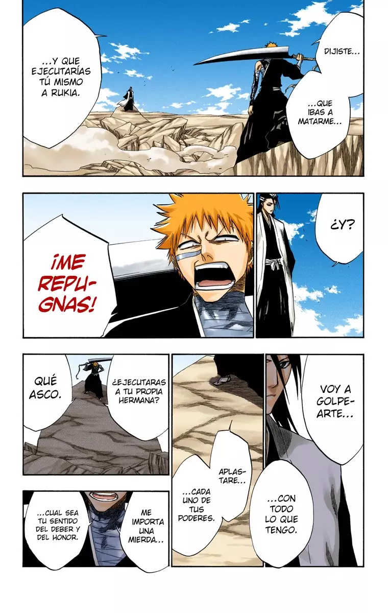 Bleach (Color) capítulo 160, página 14