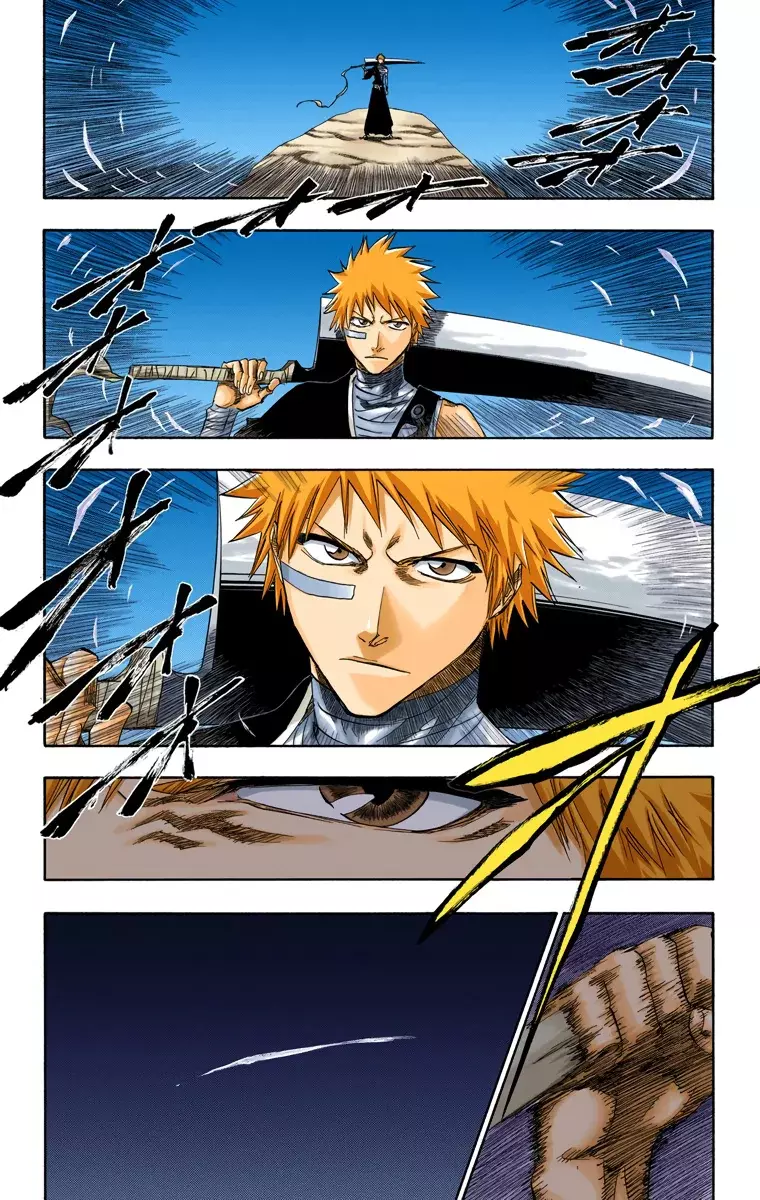 Bleach (Color) capítulo 160, página 18