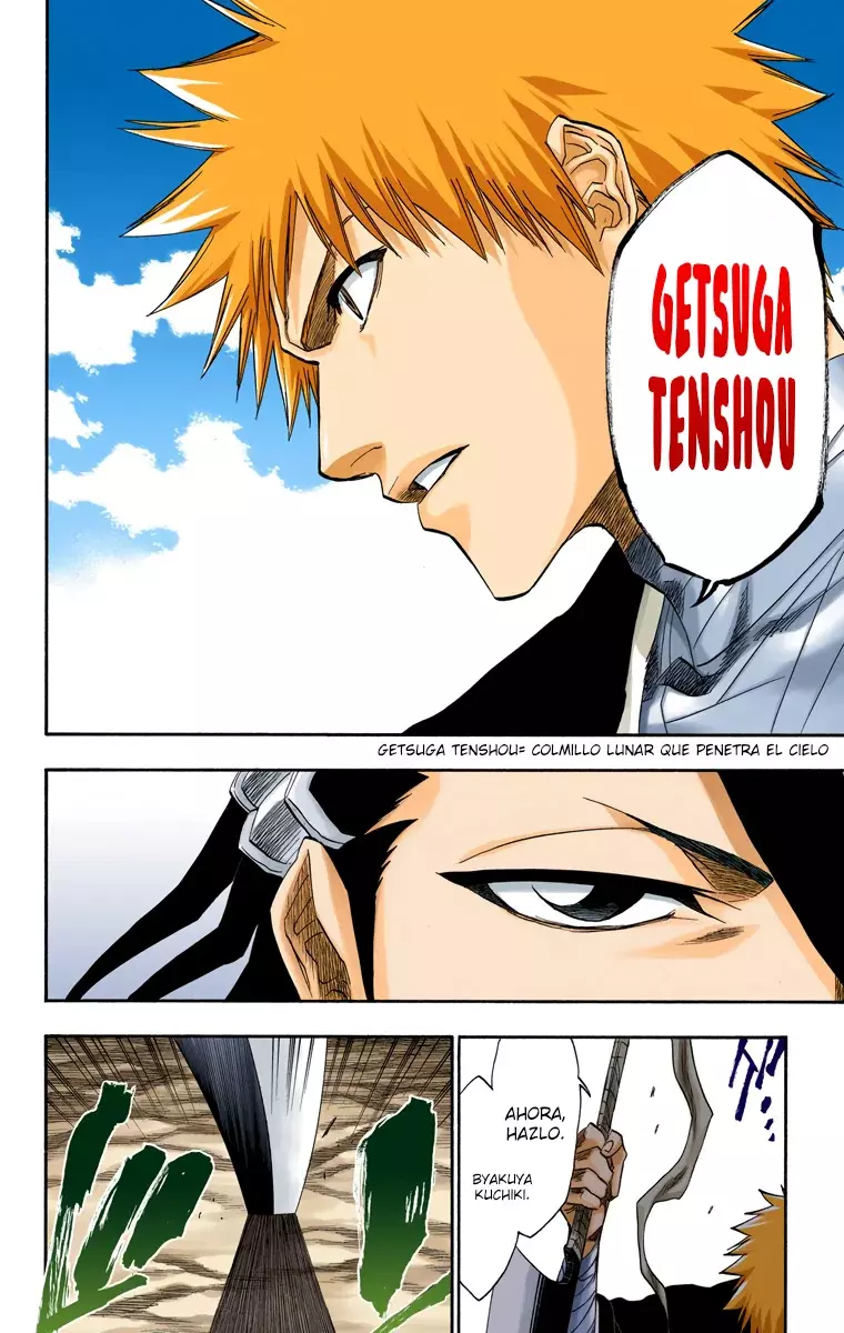 Bleach (Color) capítulo 161, página 9