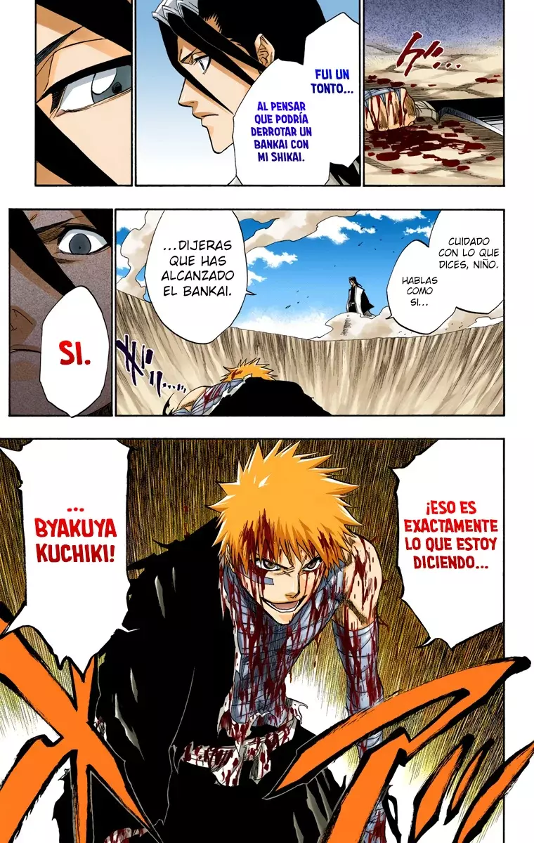 Bleach (Color) capítulo 161, página 17