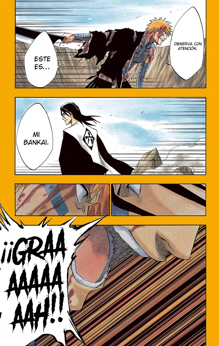 Bleach (Color) capítulo 162, página 4