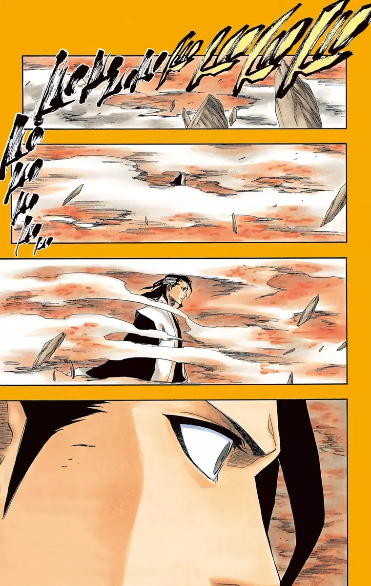 Bleach (Color) capítulo 162, página 12