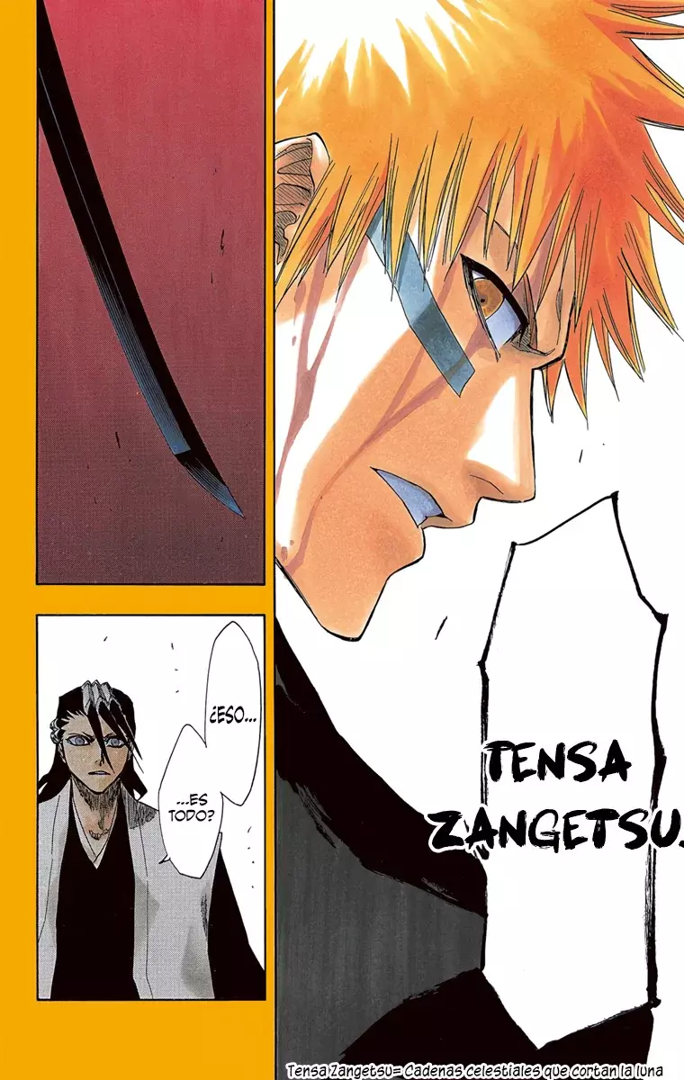 Bleach (Color) capítulo 162, página 14