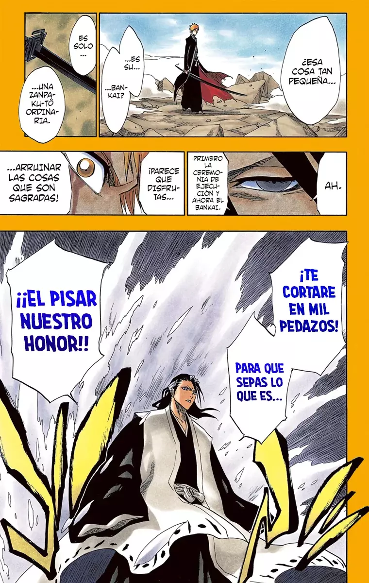 Bleach (Color) capítulo 162, página 15