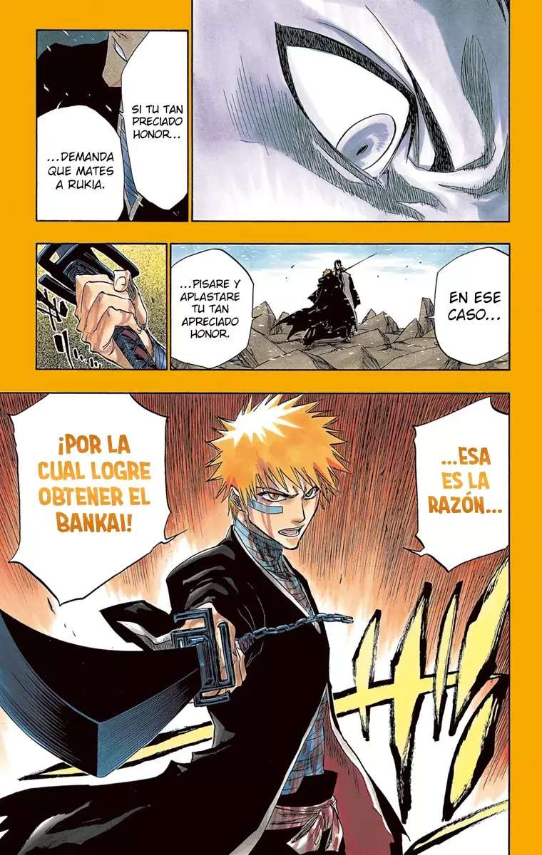 Bleach (Color) capítulo 162, página 17