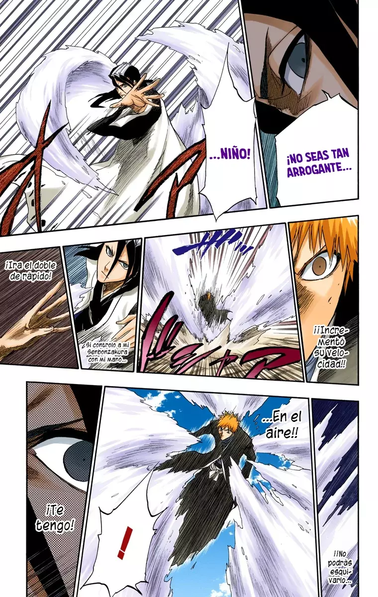 Bleach (Color) capítulo 163, página 14