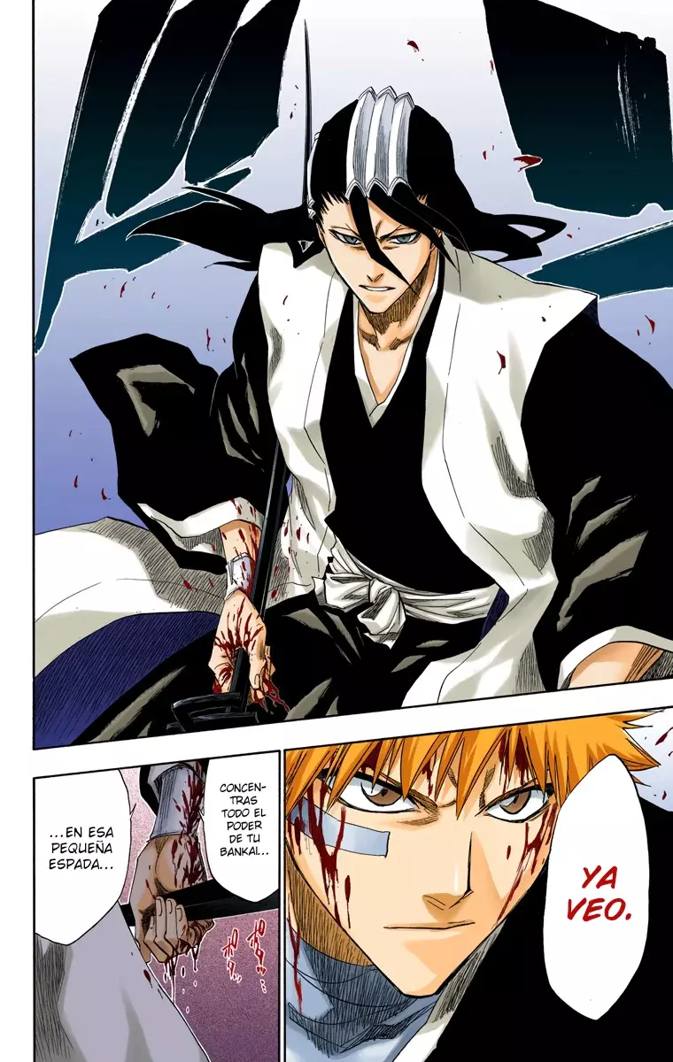 Bleach (Color) capítulo 163, página 19