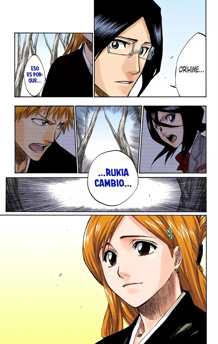 Bleach (Color) capítulo 164, página 6