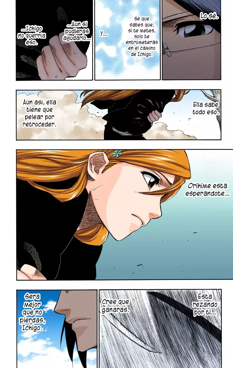 Bleach (Color) capítulo 164, página 18