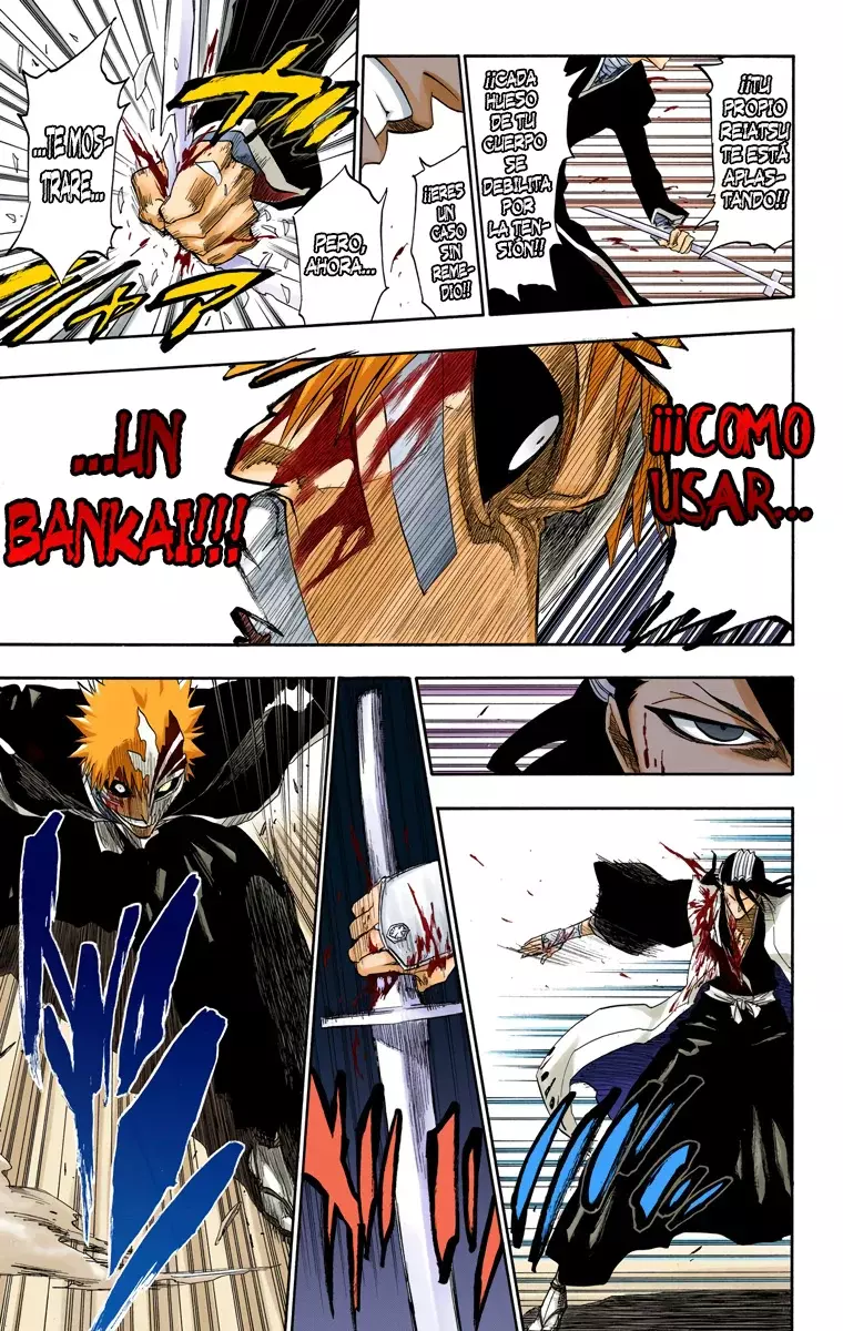 Bleach (Color) capítulo 166, página 6