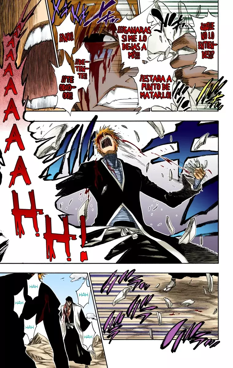 Bleach (Color) capítulo 166, página 12