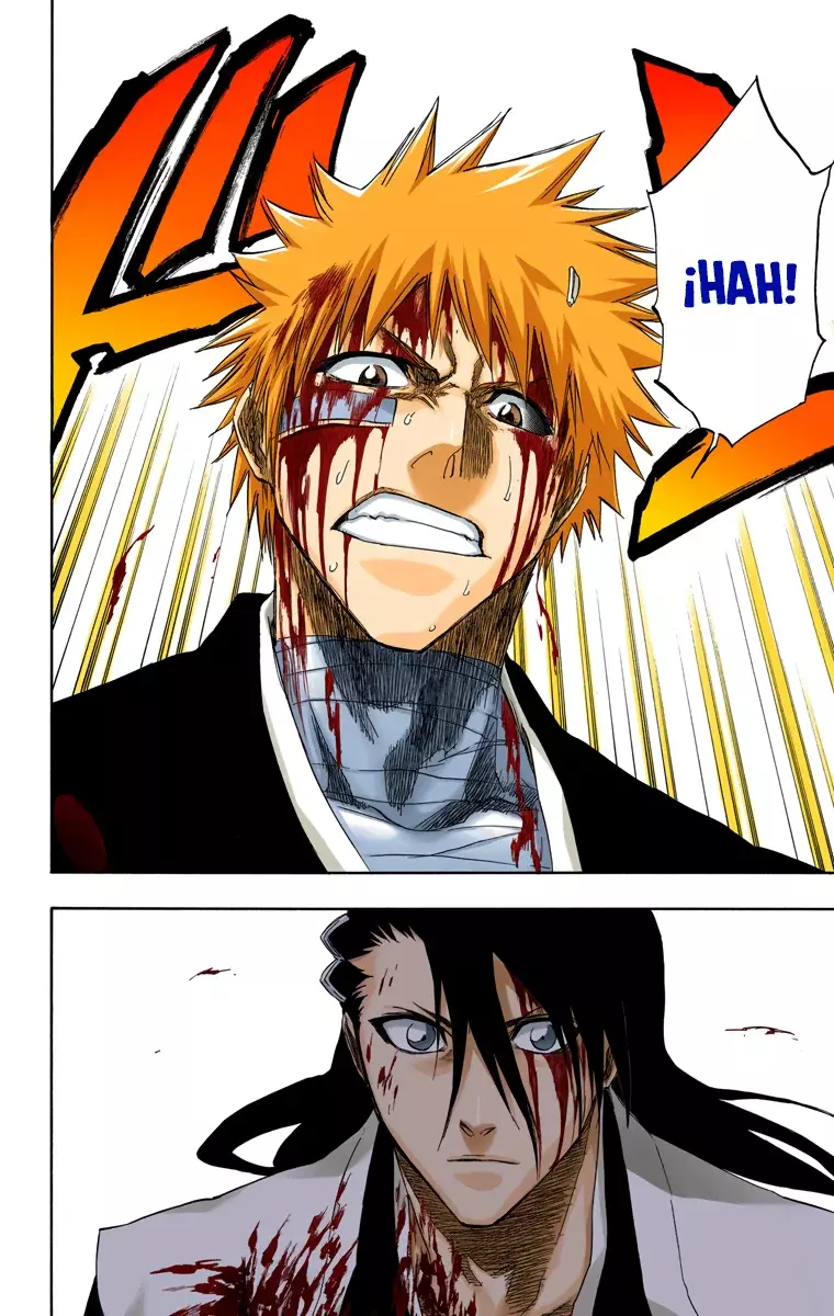 Bleach (Color) capítulo 166, página 13