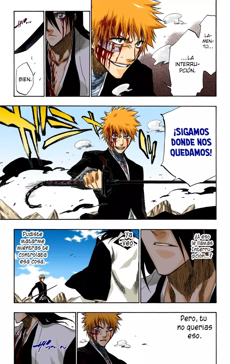 Bleach (Color) capítulo 166, página 14