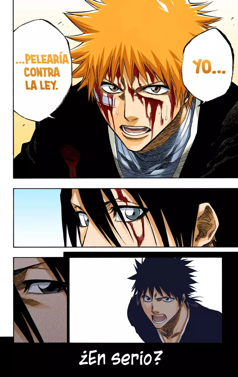 Bleach (Color) capítulo 167, página 10