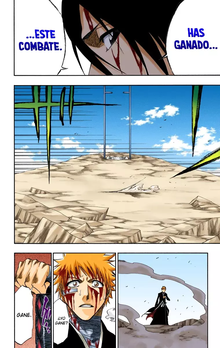 Bleach (Color) capítulo 167, página 12