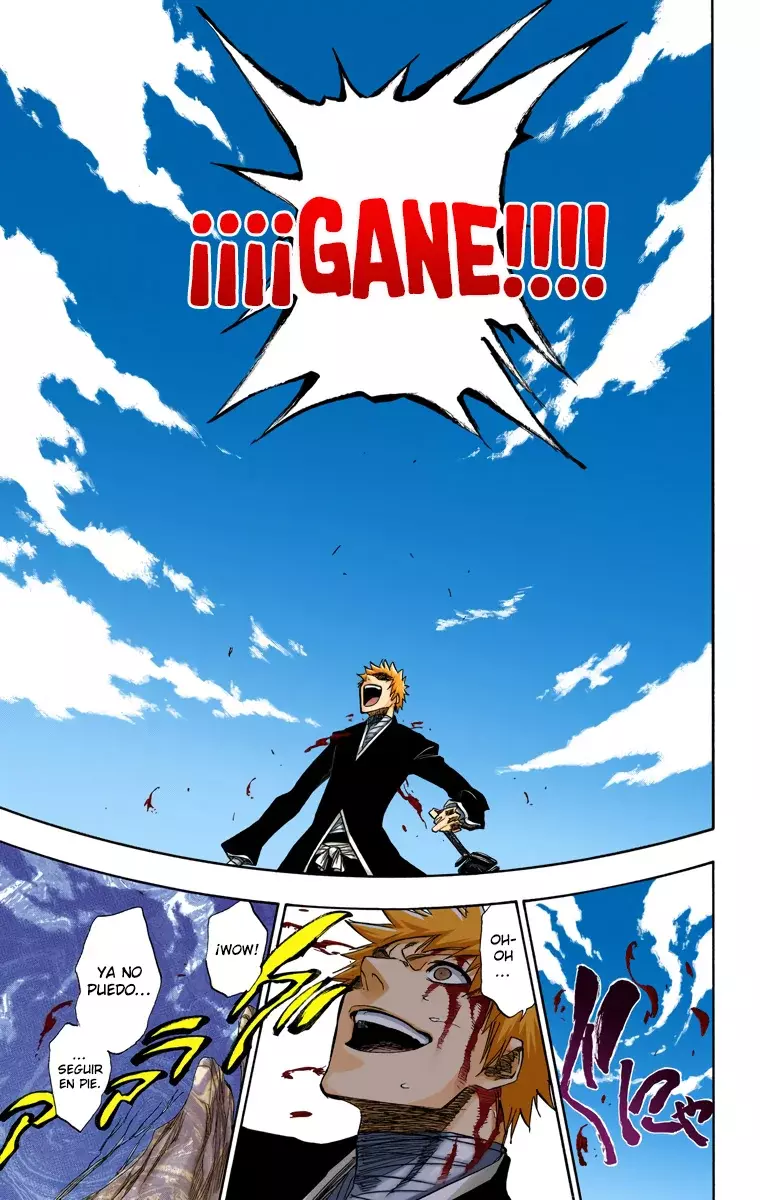 Bleach (Color) capítulo 167, página 13