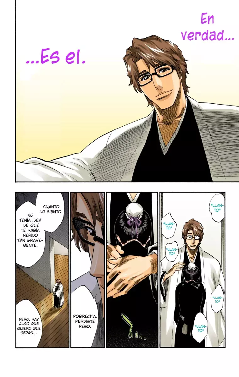 Bleach (Color) capítulo 169, página 15